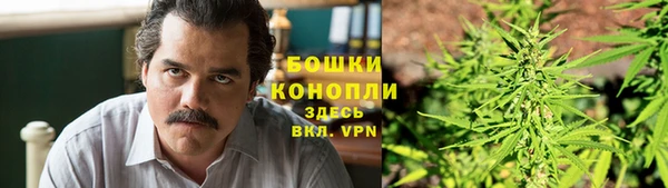 эйфоретик Пересвет