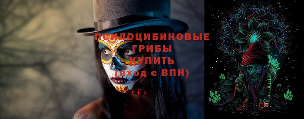 прущий лед Пестово