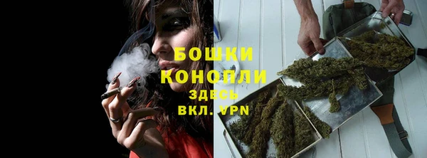 эйфоретик Пересвет