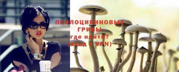 эйфоретик Пересвет