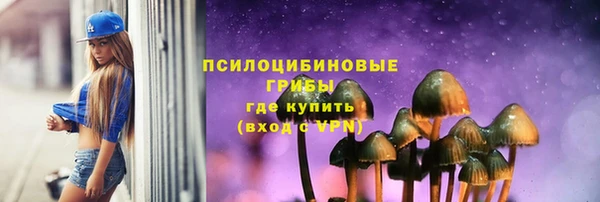 эйфоретик Пересвет