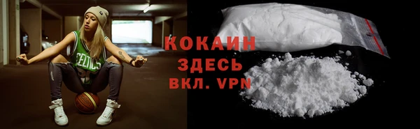 гидра Переславль-Залесский