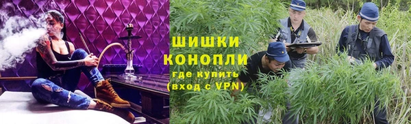 прущий лед Пестово
