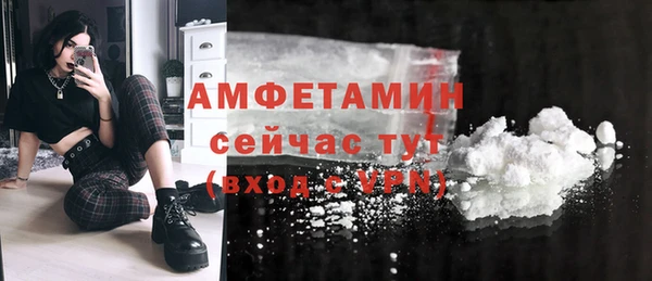 эйфоретик Пересвет