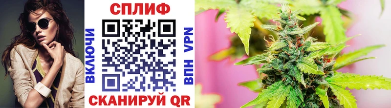 Бошки марихуана THC 21%  Купить закладки  Сортавала 